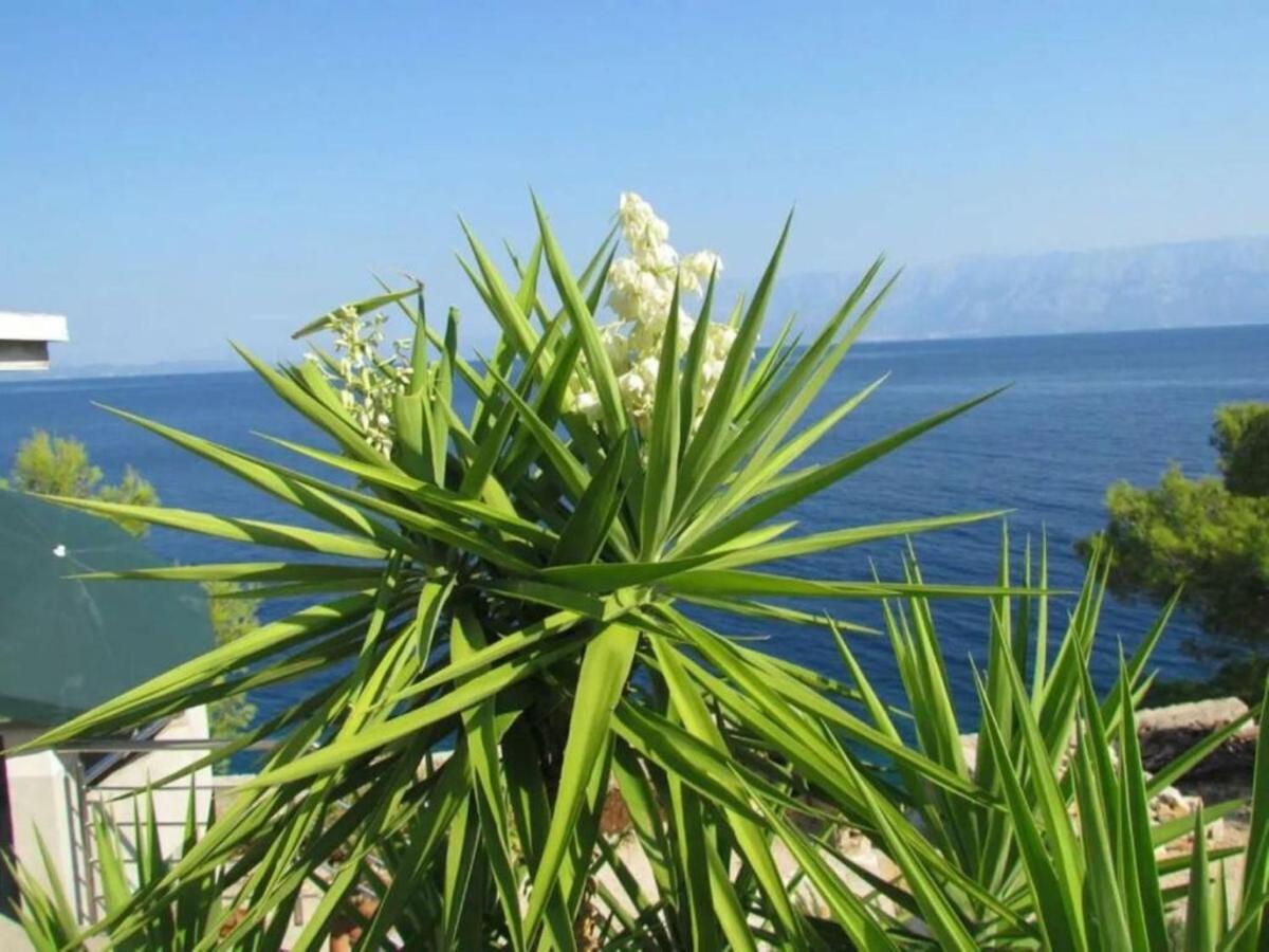 Holiday House Jakov Gdinj Kültér fotó